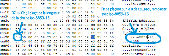 foxmail-patch.png
